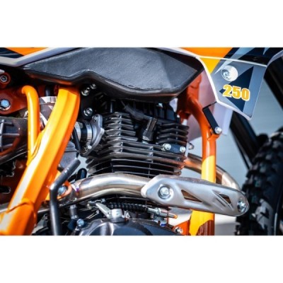 Pitbike Leramotors Killer 250ccm 21/18 - Limited