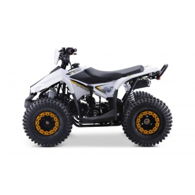 Leramotors Monkey 125 ccm Automat žlutá