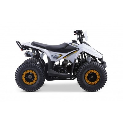 Leramotors Monkey 125 ccm Automat žlutá