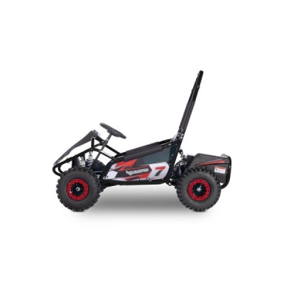Buggy Leramotors Razor 1000W Černá