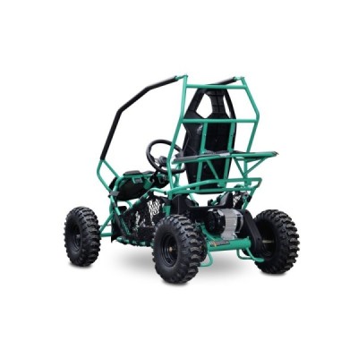 Buggy Leramotors Razor II Deluxe 1000W Zelená