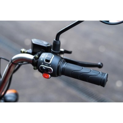 Elektrická nákladní tøíkolka s kabinou Leramotors Cargo G1 1000W - Tuk Tuk Zelená