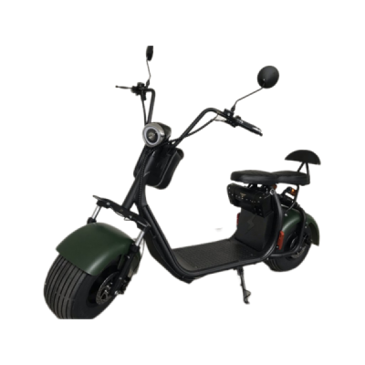 Lera Scooters C1 1000W zelená