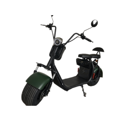 Lera Scooters C1 1000W zelená
