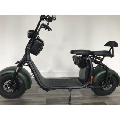 Lera Scooters C1 1000W zelená