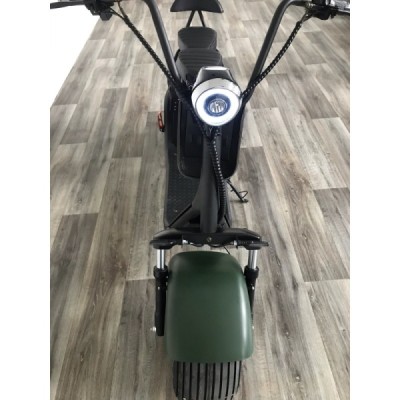 Lera Scooters C1 1000W zelená