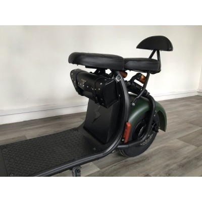 Lera Scooters C1 1000W zelená