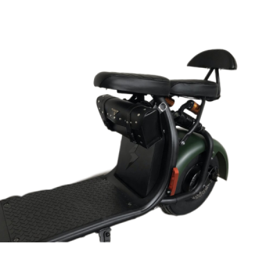 Lera Scooters C1 1000W zelená