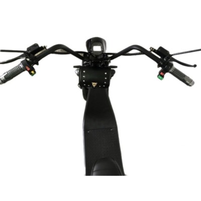 Lera Scooters C1 1000W černá