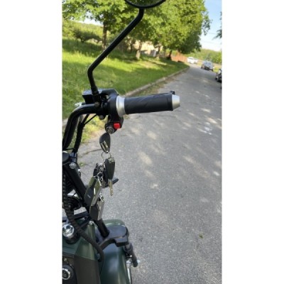 Elektrokoloběžka Lera Scooters C2 2000W zelená - nový model 2024