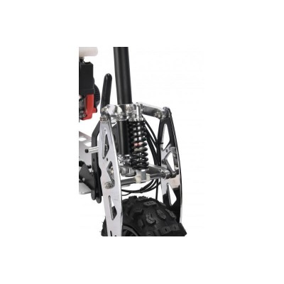 Uberscoot Proracing 49CC 4t