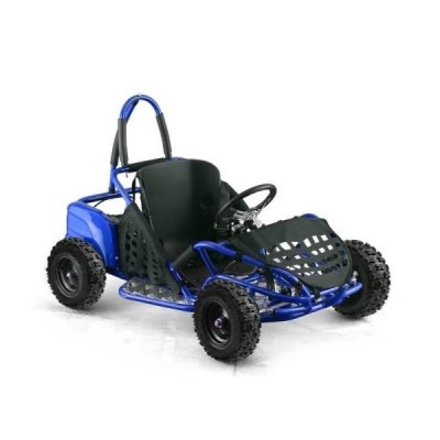 Elektro buggy Nitro 1000W