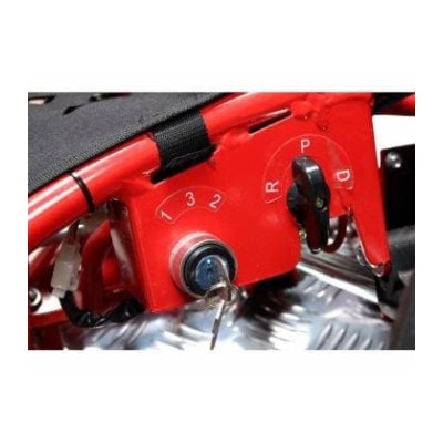 Elektro buggy Nitro 1000W