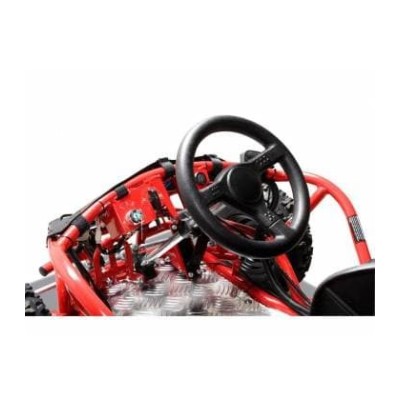 Elektro buggy Nitro 1000W