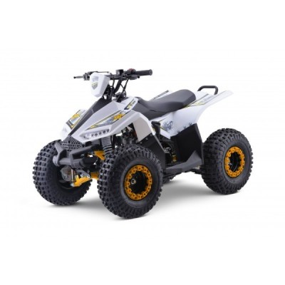 Leramotors Monkey 125 Ccm Automat