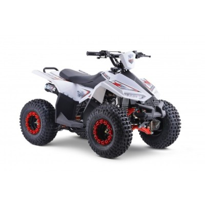 Leramotors Monkey 125 Ccm Automat Červená