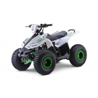 Leramotors Monkey 125 Ccm Automat Zelená