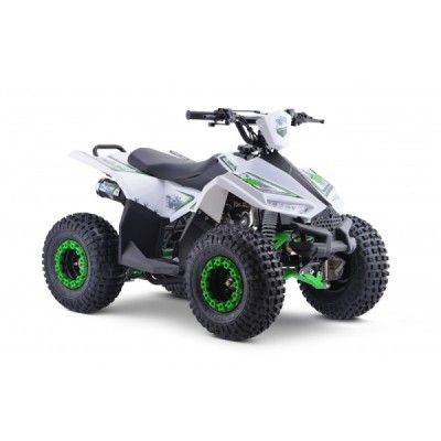Leramotors Monkey 125 Ccm Automat Zelená