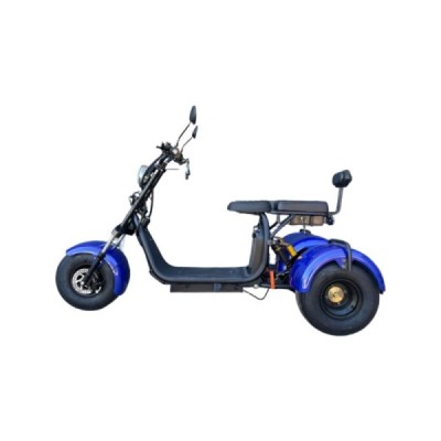 Lera Scooters C4 1000W modrá
