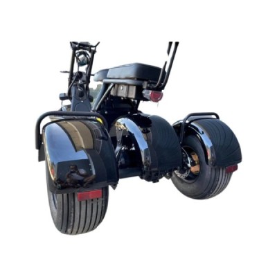 Lera Scooters C4 1000W černá