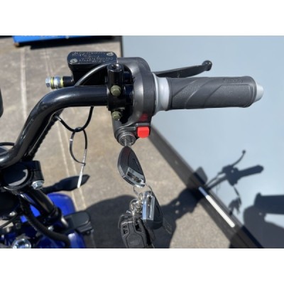Elektrická tříkolka Leramotors SCOOTERS C5 2000W Modrá