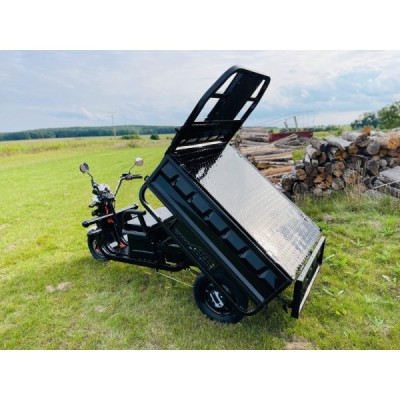 Leramotors Cargo G1 1000W COC