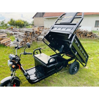 Leramotors Cargo G1 1000W COC
