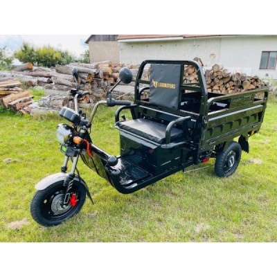 Leramotors Cargo G1 1000W COC