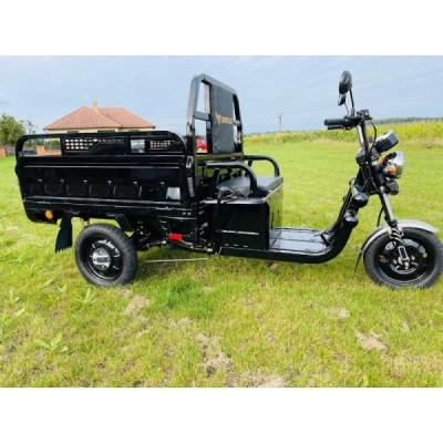 Leramotors Cargo G1 1000W COC